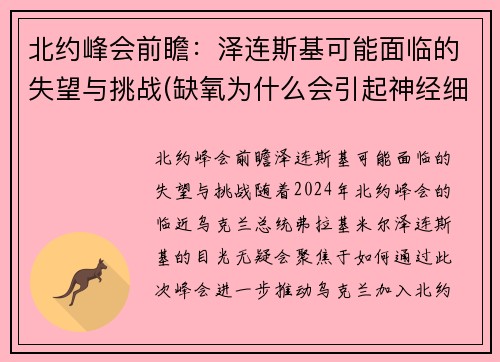 北约峰会前瞻：泽连斯基可能面临的失望与挑战(缺氧为什么会引起神经细胞兴奋性降低)