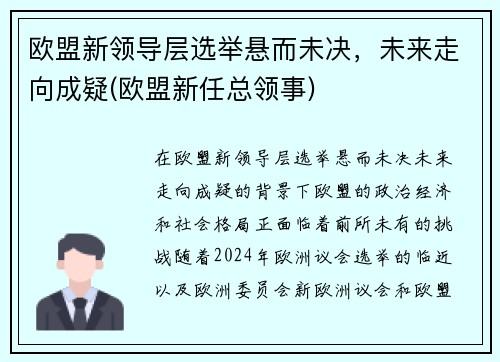 欧盟新领导层选举悬而未决，未来走向成疑(欧盟新任总领事)