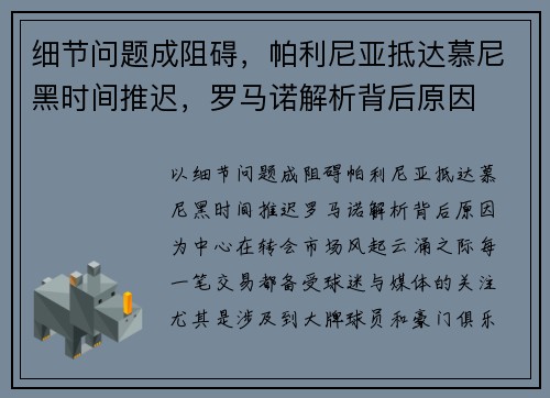 细节问题成阻碍，帕利尼亚抵达慕尼黑时间推迟，罗马诺解析背后原因