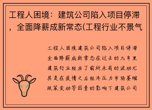 工程人困境：建筑公司陷入项目停滞，全面降薪成新常态(工程行业不景气)